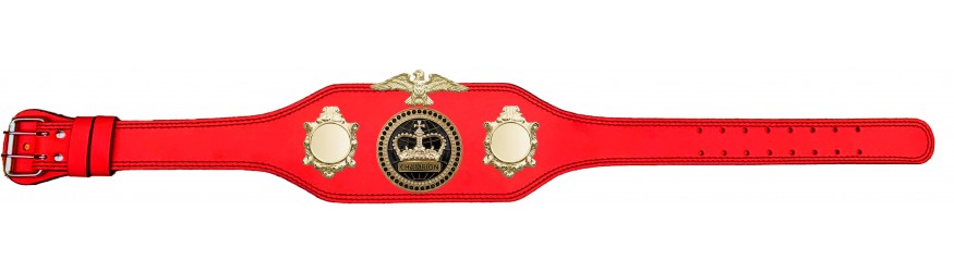 CHAMPIONSHIP BELT - BUD004/G/BLKGEM - AVAILABLE IN 4 COLOURS